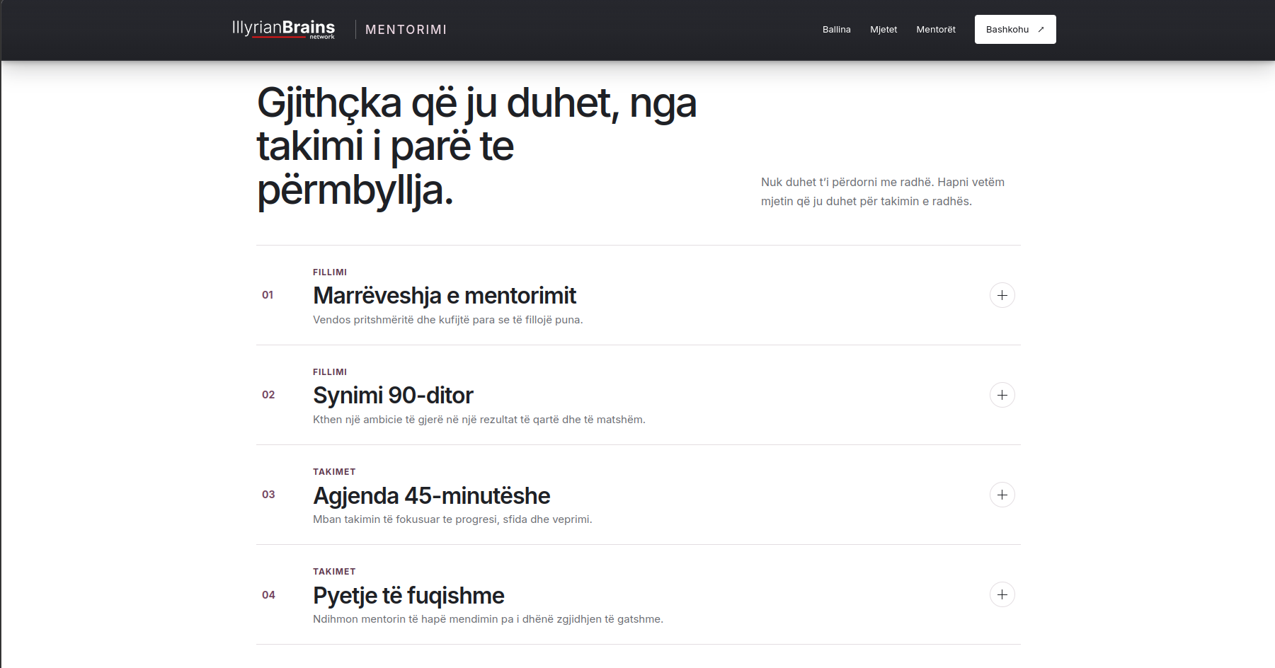 Fushat e mentorimit